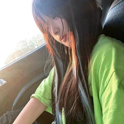导尽我梦想:李察连利加